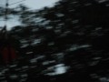 Tn DSC 5395